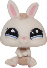 #2019 Baby Rabbit